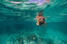 Catamaran and Snorkeling Cruise At Carlisle Bay