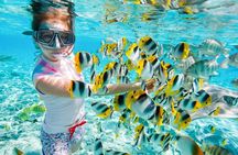 Red Sea Snorkeling Hurgada 