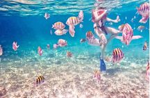 4H Luxury 44' Catamaran All-Inclusive in Tulum & Playa del Carmen