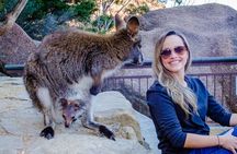 Full-Day Tour to Wineglass Bay from Hobart