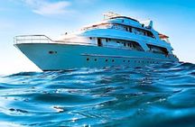 Day tour to the Red Sea from Cairo