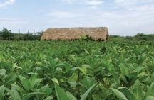 Higuey City Tour - A Cultural Experience From Punta Cana 