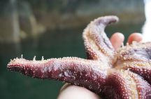Alaska Ocean Wilderness Expedition 