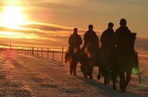 One-Hour Horseback Riding Tour in the Icelandic Countryside