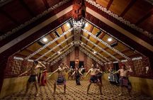 Private Tour - Hobbiton Movie Set & Te Puia (Rotorua)