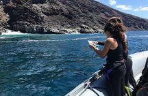 Scuba Diving Baptism in La Restinga