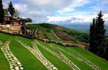 Kakheti Tour: Signagi + Bodbe Monastery + Gurgeniani Waterfall