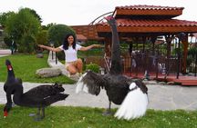 Day-Trip to the Valley of the Thracian Kings and the Rose Valley from Plovdiv