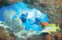 Key West Rum and Reggae: Reef Snorkel Adventure and Sunset Sail
