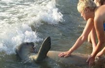 See the Coastal Landscape on This Tour of the Carian Trail