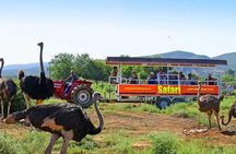 From Cape Town: 2-Nights, 3-Days Garden Route private tour