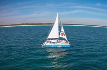 Shell Island & Dolphin Watch Sailing Cruise 