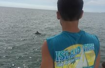 Panama City Beach Dolphin Cruise