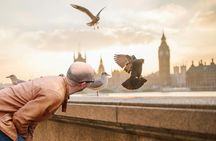 London Best of the City Fully Customized Guided Private Tour