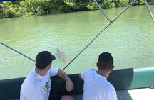 Black River Safari and YS Falls 