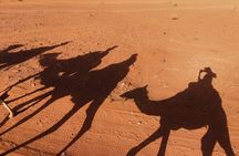 Wadi Rum: Camel Trek Adventure