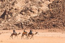 Wadi Rum: Camel Trek Adventure