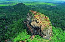Minneriya Elephant Safari wth Sigiriya Lion Rock from Colombo
