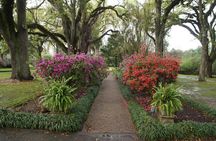 From New Orleans: Private Haunted Myrtles Plantation Adventure