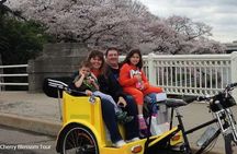 Classic Monuments & Memorials Tour