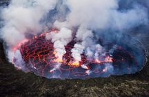 The Virunga Gorillas of Congo & The Nyiragongo Hike Tour (4 Days / 3 Nights)