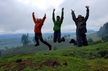 The Virunga Gorillas of Congo & The Nyiragongo Hike Tour (4 Days / 3 Nights)