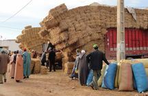 Essaouira Tour - Half day visit to berber market 