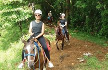 Rio Celeste Horseback Riding Tour