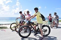 Half-Day Electric Bike Tour of Cozumel's East Side With Lunch