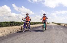 Punta Sur Eco Beach Park Electric Bike Tour in Cozumel