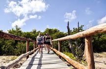 Punta Sur Eco Beach Park Electric Bike Tour in Cozumel
