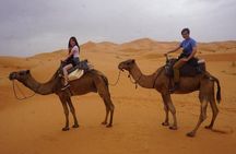 Camel ride In Erg Chebbi Desert, 1 Night in Berber Private Tent