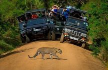 Yala National Park (Day Tour)