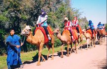 5 Valleys Atlas mountains day trip from Marrakech with camel ride