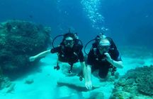 Try Scuba Diving at Padang Bai