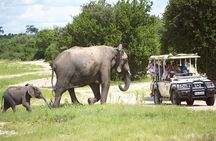 Chobe Day Trip from Victoria Falls