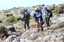 Kilimanjaro Machame Route 6 Days