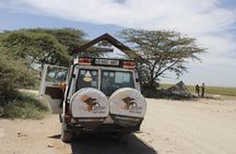 1 day tour hike mount kilimanjaro through marangu route