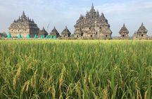 Merapi Volcano and Great Temples Tour