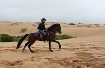 Horse Riding Agadir