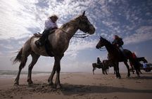 Horse Riding Agadir