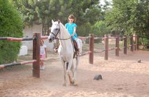Horse Riding Agadir