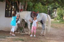 Horse Riding Agadir