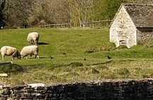 The Charming Cotswolds Private Black Taxi Tour from London