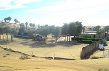 Ras Al Khaimah: Afternoon Desert Safari and BBQ Dinner