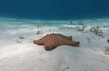 El Cielo in Cozumel