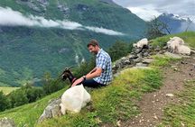 Geiranger by Royal route, 5 hours with visiting a high-mountain farm