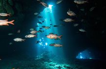 Two Tank Lanai Certified Diving Adventure from Lahaina