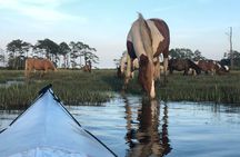 Guided Kayak Tour to see ponies, birds, dolphins and more