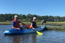 Guided Kayak Tour to see ponies, birds, dolphins and more